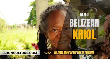 The Evolution of Belizean Kriol: A Unique Language Blend