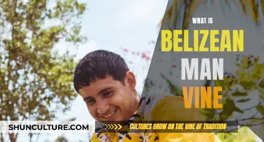 The Evolution of the "Belizean Man" Meme: From Vine to Viral Sensation