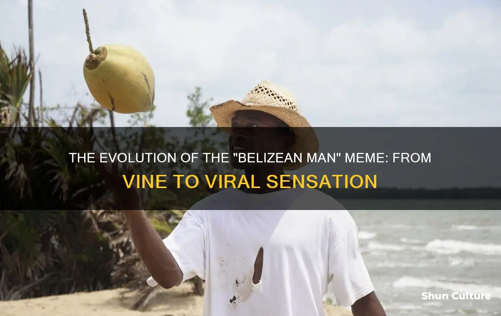 what is belizean man vine