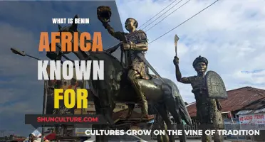 Exploring Benin: A Glimpse into Africa's Rich Cultural Tapestry