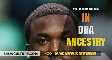Unraveling Genetic Roots: Benin and Togo's DNA Ancestry Explored
