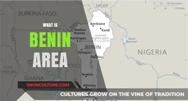 Exploring Benin: A Comprehensive Guide to the Country's Area and Geography