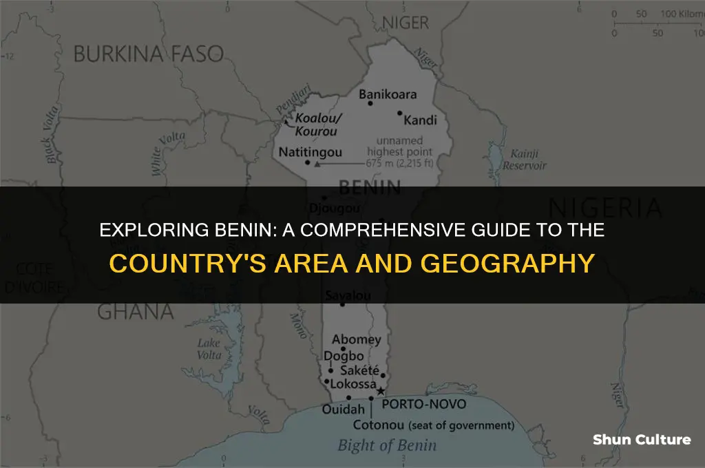 what is benin area