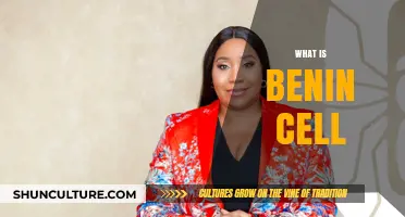 Exploring the Mysteries of Benin Cells: A Comprehensive Guide