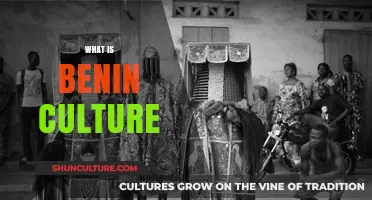 Exploring the Rich Tapestry of Benin's Vibrant Cultural Heritage