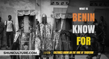 Exploring Benin: A Nation Rich in History and Culture
