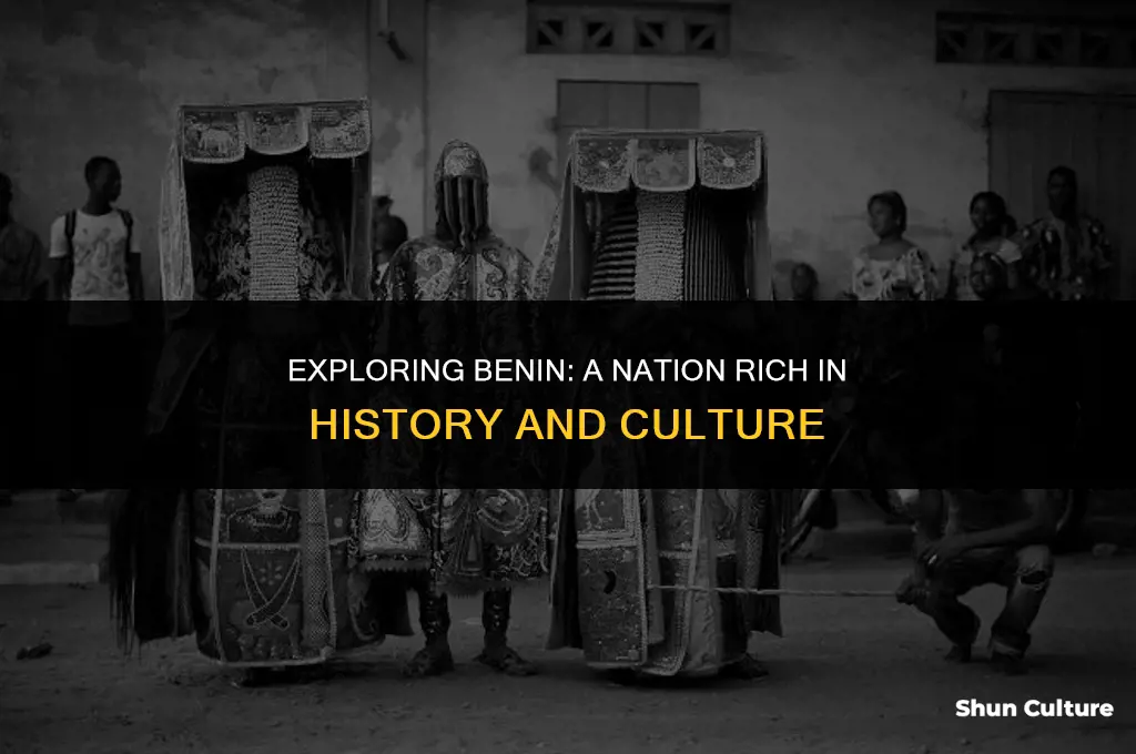 what is benin know for