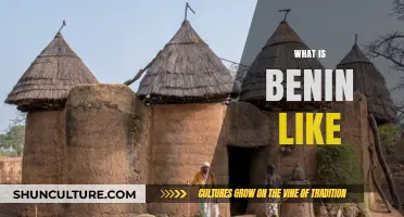 Exploring Benin: A Journey Through West Africa's Hidden Gem