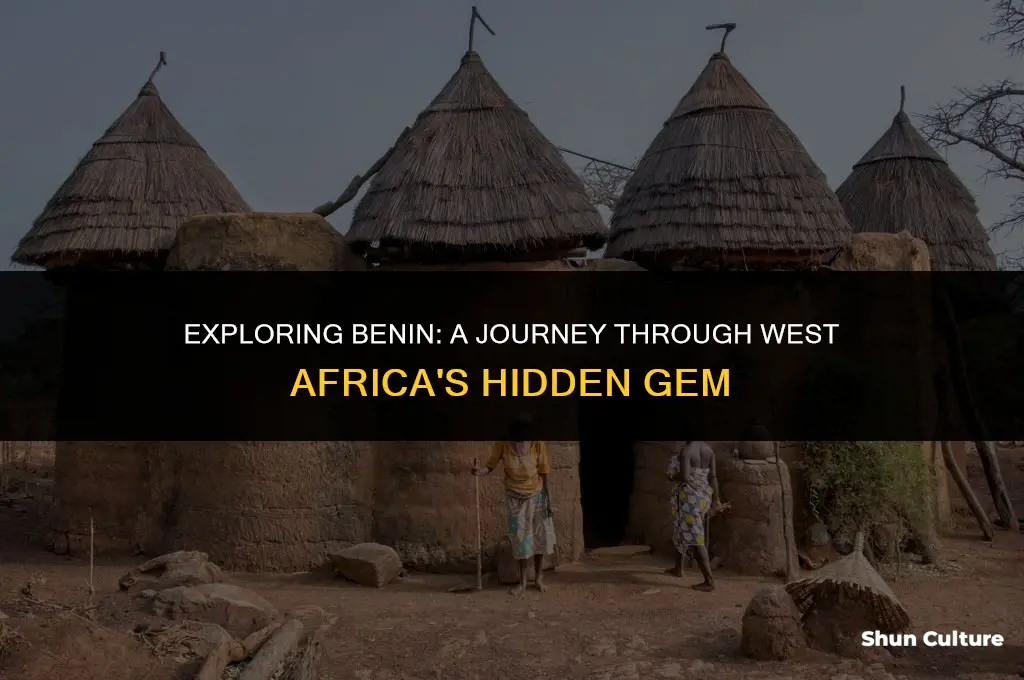 what is benin like
