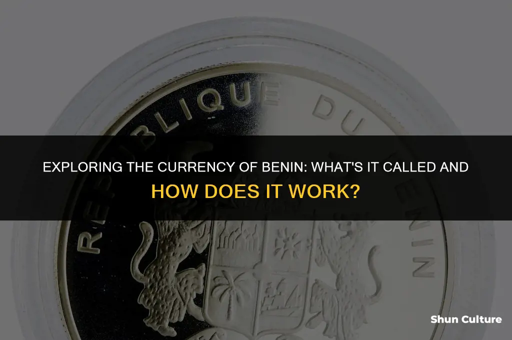 what is benin money called