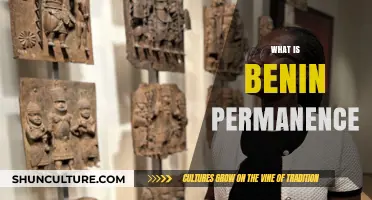 Exploring the Concept of Benin Permanence: A Comprehensive Guide