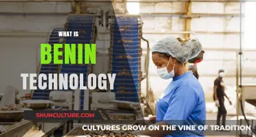 Exploring Benin's Technological Landscape: Innovations and Challenges