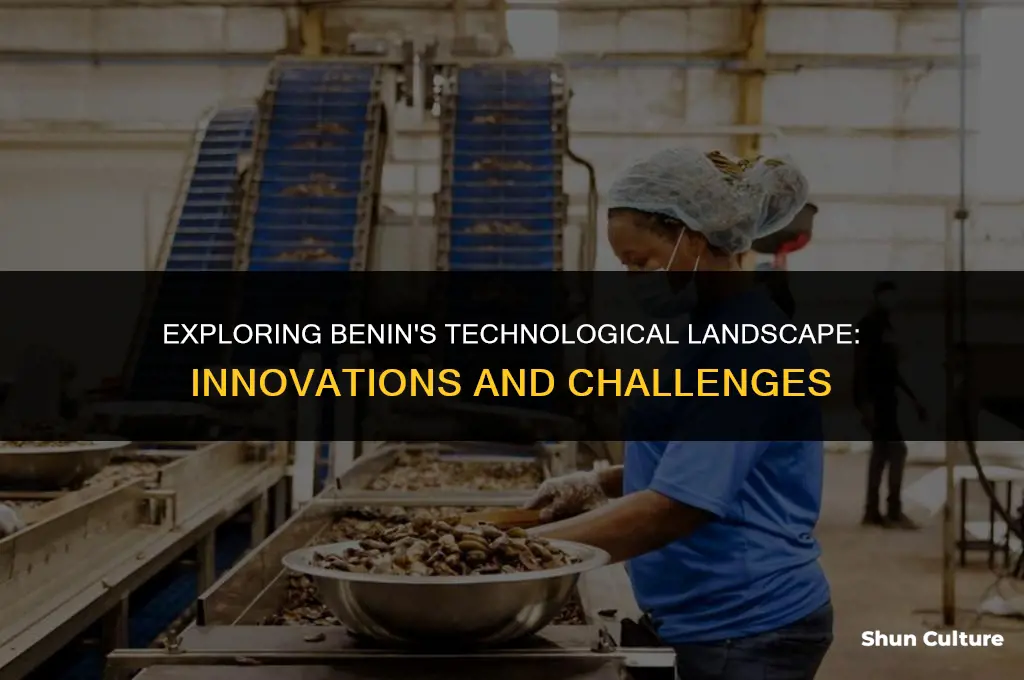 what is benin technology