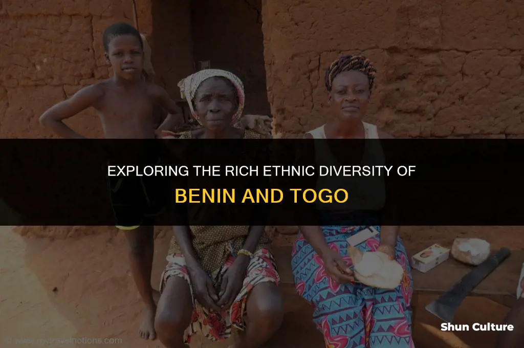 what is benin togo ethnicity