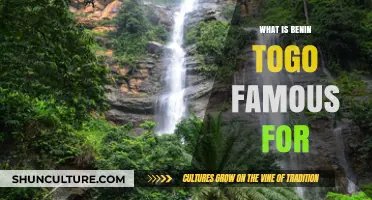 Exploring the Cultural and Natural Wonders of Benin and Togo