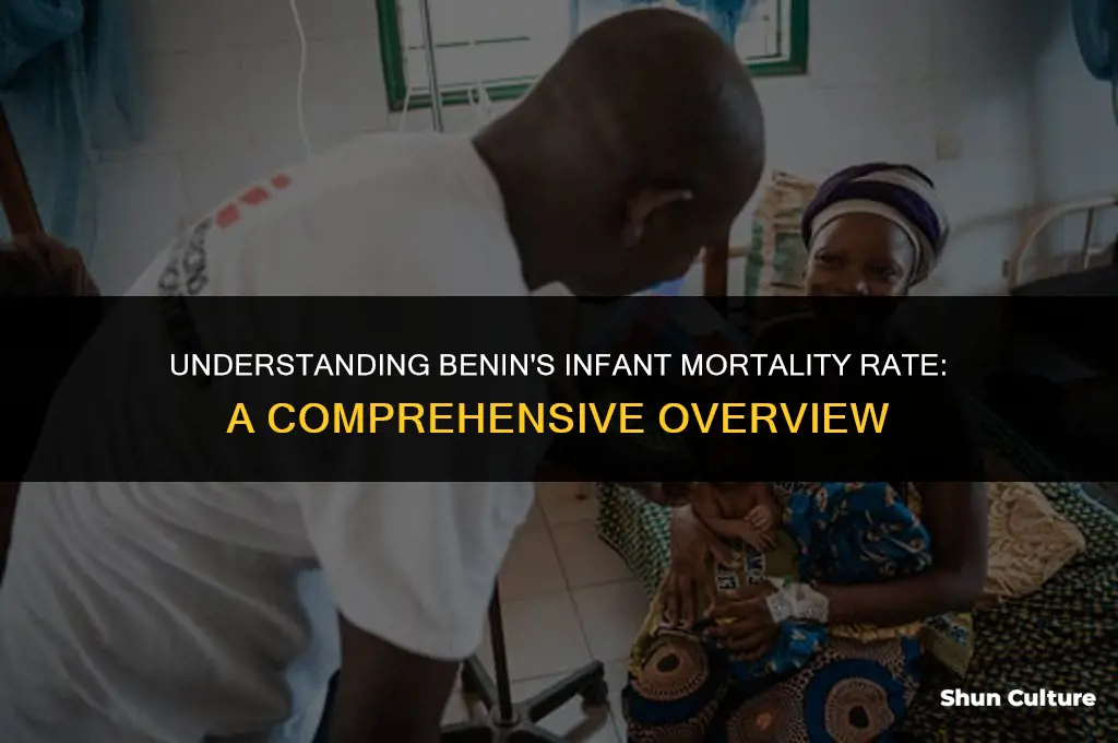 what is benins infant ortality rate
