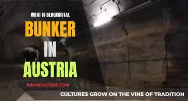 Unveiling Austria's Bergkristal Bunker: A Hidden Gem's Story