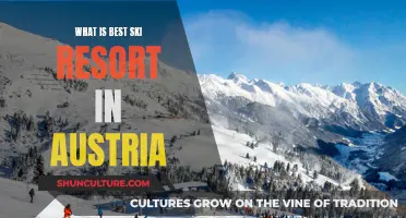 Austria's Top Ski Resort: A Guide to the Ultimate Alpine Experience