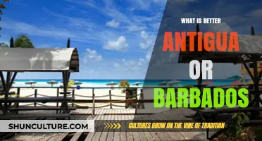 Antigua vs. Barbados: Which Caribbean Paradise Suits You Best?