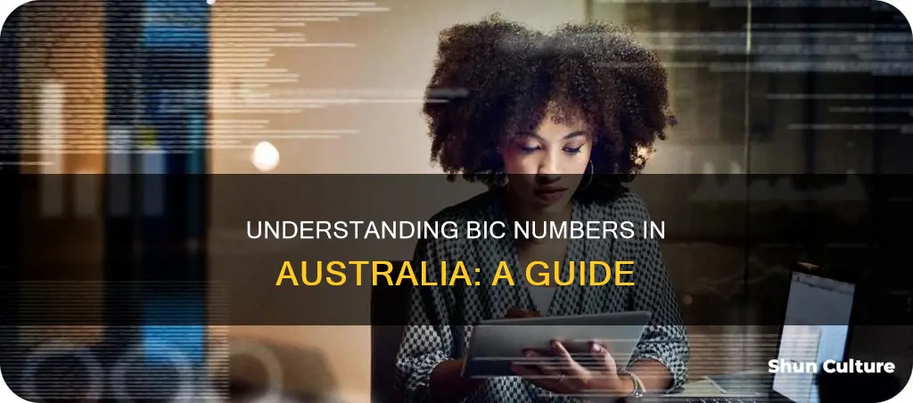what is bic number in australia