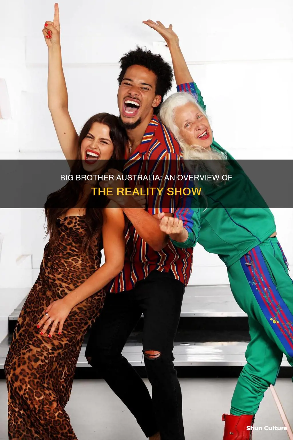 what is big brother australia