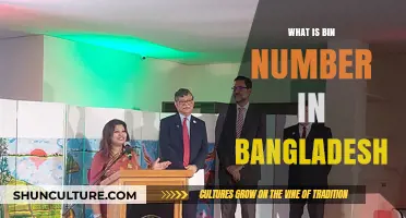 Understanding BIN Numbers in Bangladesh: A Comprehensive Guide