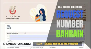 Birth Notification in Bahrain: Understanding the Request Number Process