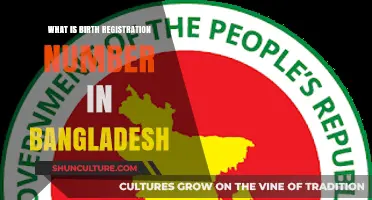 Understanding Bangladesh's Birth Registration Number: Purpose, Process, and Importance
