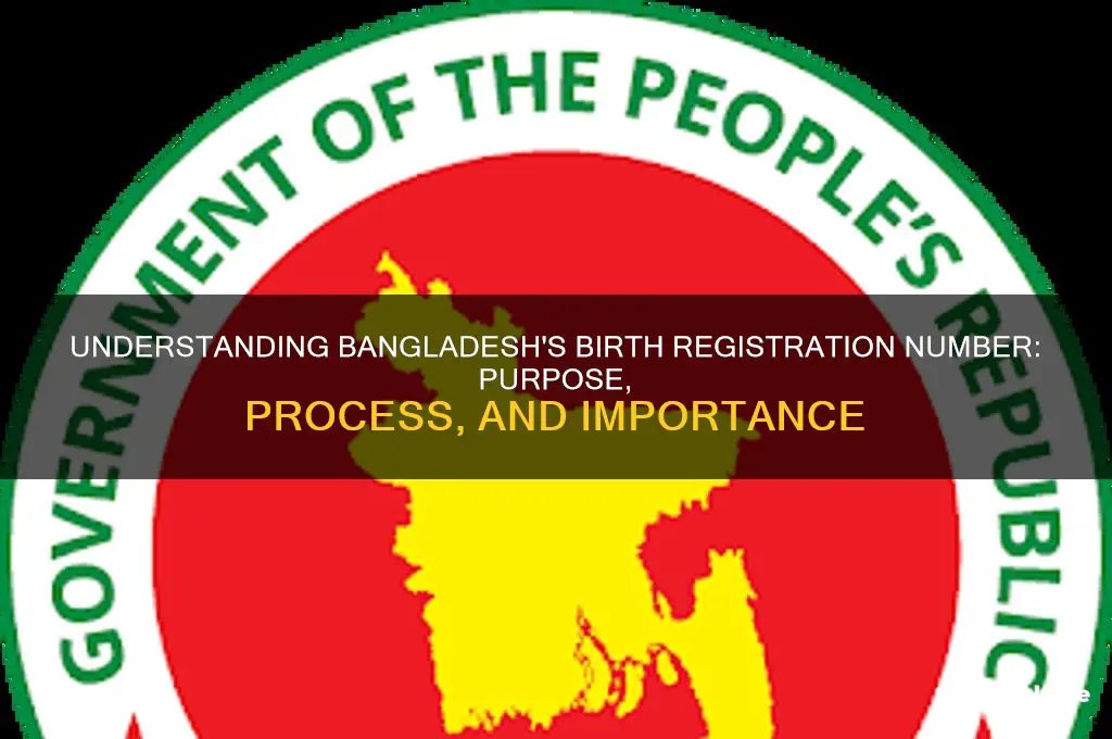 what is birth registration number in bangladesh