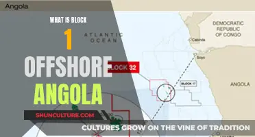 The Profitable Oil Prospects of Block 1, Offshore Angola