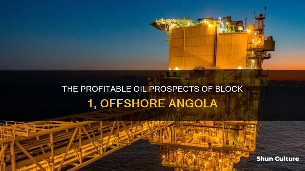 what is block 1 offshore angola