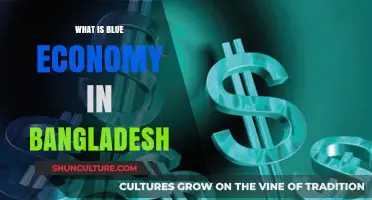 Exploring Bangladesh's Blue Economy: Opportunities, Challenges, and Sustainable Growth