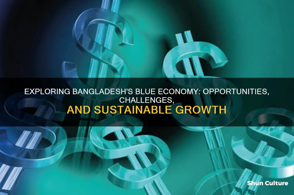 what is blue economy in bangladesh