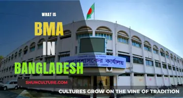 Understanding BMA: Bangladesh's Municipal Authority and Its Role Explained