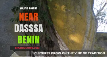 Exploring Bokono: A Hidden Gem Near Dassà, Benin