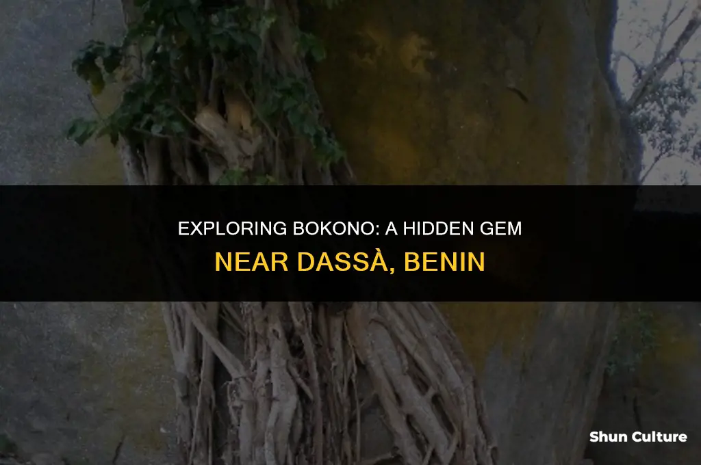 what is bokono near dasssa benin
