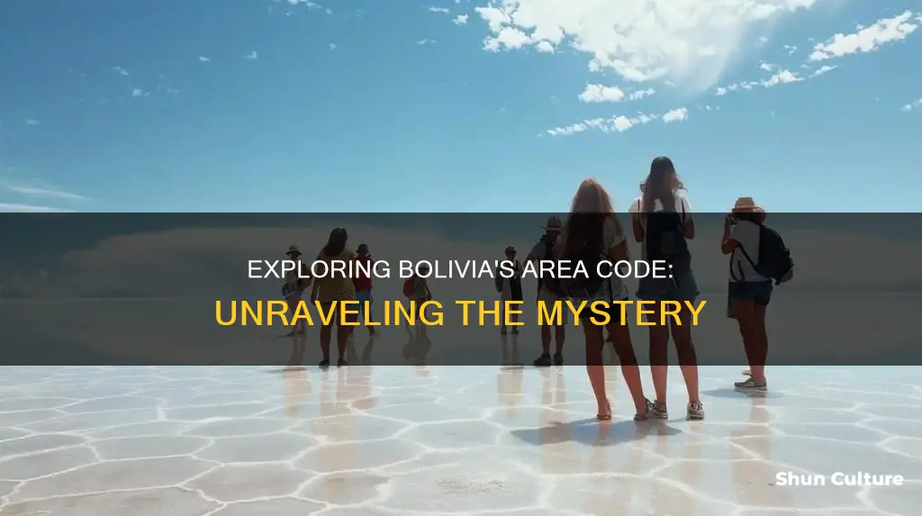 what is bolivia area code