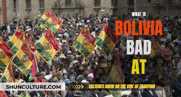 Bolivia's Struggles: What Challenges the Country Faces