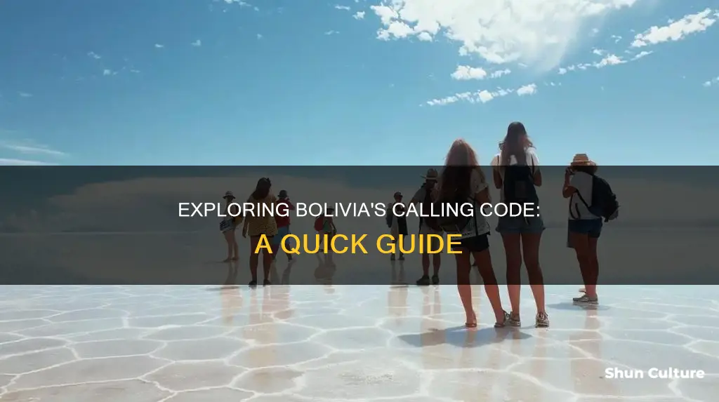 what is bolivia calling code