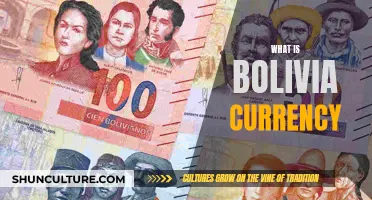 Bolivia's Currency: What You Need to Know