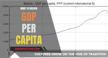 Exploring Bolivia's GDP Per Capita: Understanding Wealth Distribution