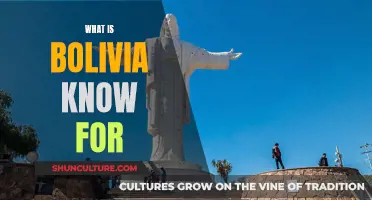 Bolivia's Unique Claims to Fame