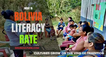 Bolivia's Literacy Rate: A Comprehensive Overview