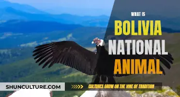 Bolivia's National Animal: A Symbol of Pride and Heritage