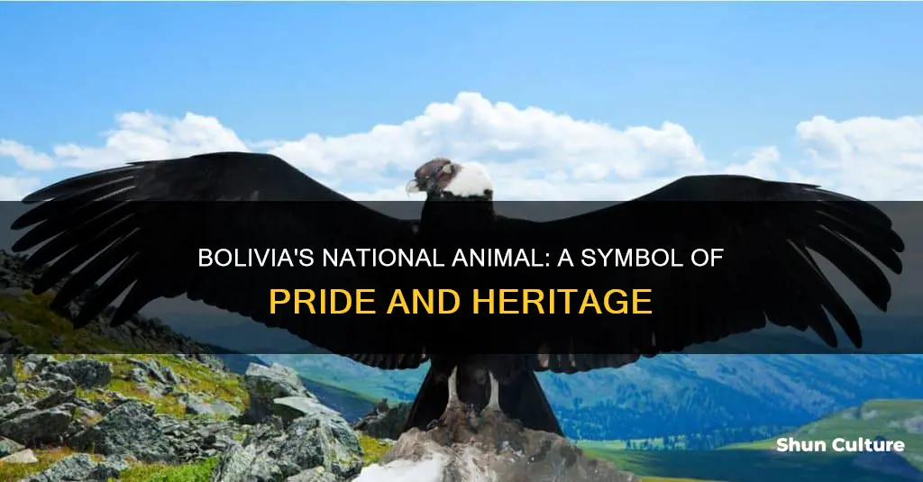 what is bolivia national animal