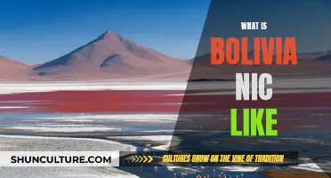 Exploring the Unique Beauty of Bolivia's NIC