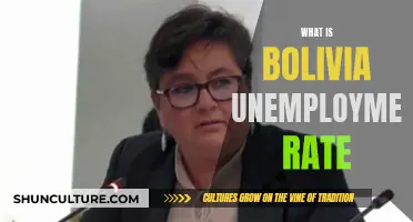 Unemployment in Bolivia: Understanding the Job Market's Challenges