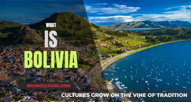 Bolivia: A Country of Diversity and Culture