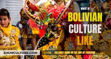 Exploring the Richness of Bolivian Culture