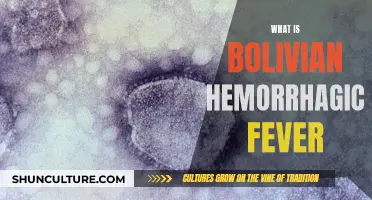 The Menace of Bolivian Hemorrhagic Fever Explained